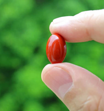 Gentle on Your Stomach