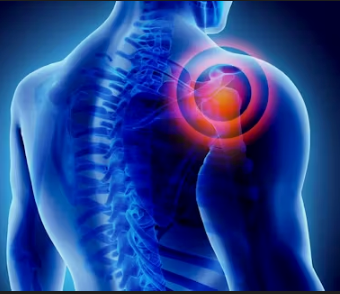 Supports Skin, Joints & Eyes