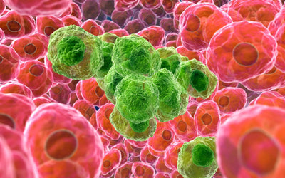 Protects Your Cells From Aging